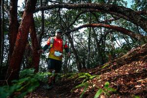 BIB: 
                            <button type="button" onclick="openModal(26346879)" class="btn btn-primary btn-sm float-right btn-popup" data-toggle="modal" data-target=".modal-high-quality">
                        <i class="fas fa-shopping-cart"></i> Add to Cart
                    </button>
                                            <button type="button" onclick="isThisMe(26346879, true)" class="btn btn-success btn-sm float-right btn-popup btn-isme hidden" data-toggle="tooltip" data-placement="bottom" title="นี่คือรูปของคุณใช่ไหม คลิกที่นี่เพื่อเอาเข้าอัลบั้ม">
                        <i class="fas fa-plus"></i> Add to album
                    </button>
                    <button type="button" onclick="isThisMe(26346879, false)" class="btn btn-warning btn-sm float-right btn-popup btn-isnotme hidden">
                        <i class="fas fa-ban"></i> Remove from album
                    </button>